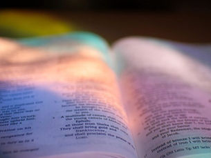 books, libros, profecía, actitud, realidad, cumplir, metas, meta