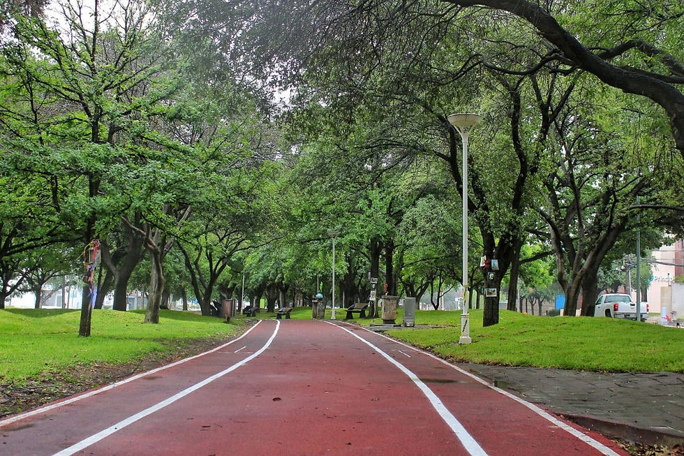 Calzada, San Pedro Garza García, Calzada del Valle, correr, caminata, caminar, Monterrey, Nuevo León, LEAFest, LEAF