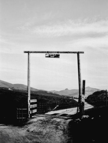 black and white image of driveway entrance