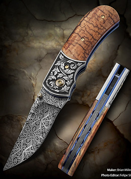 stag folder