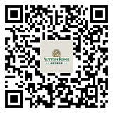 qr-code (7).png