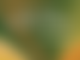 Why Having a Coach Makes It Better