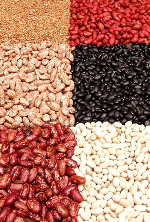 pinto beans black beas white beans kidney beans red beans