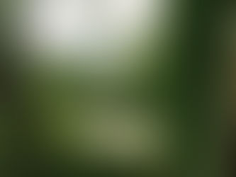 Why Umbria Is the Perfect Region for Your Destination Wedding in Italy