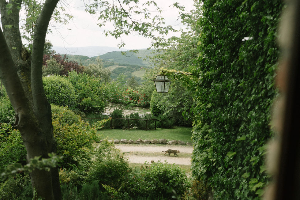 Why Umbria Is the Perfect Region for Your Destination Wedding in Italy