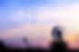 dandelion-2561575_640_edited_edited.jpg