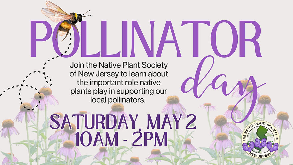 Pollinator Day!