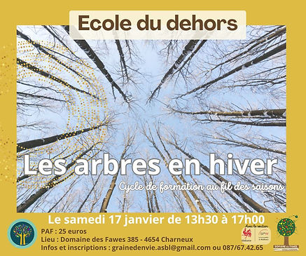 Cycle Formations 17-01-26 arbres.jpg