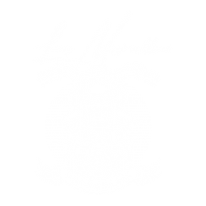 Luca Marcellino_Fotografia_logo_bianco.png