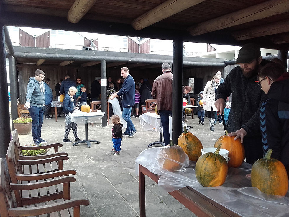 Halloween_05