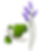 FRAOCH.png