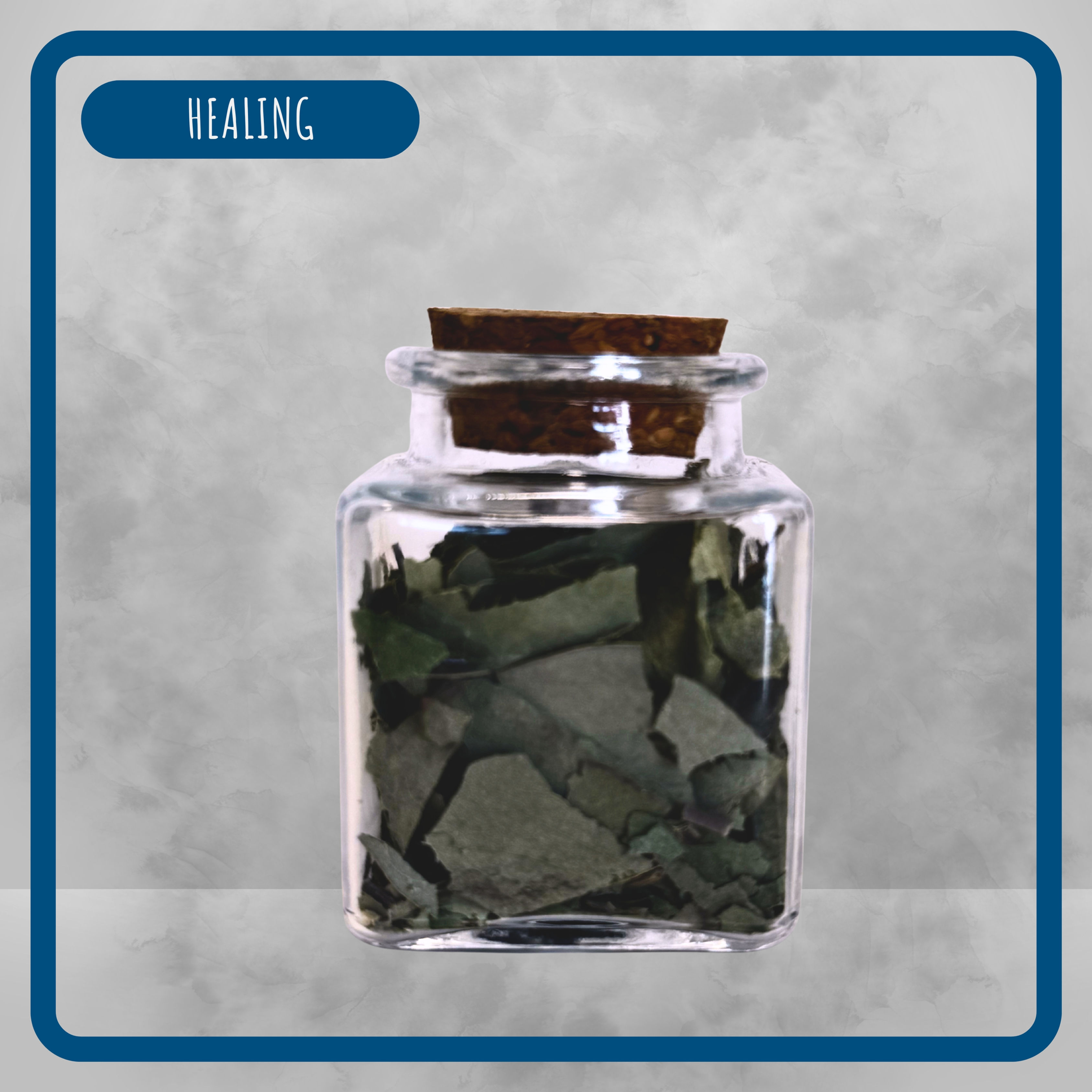 Eucalyptus
