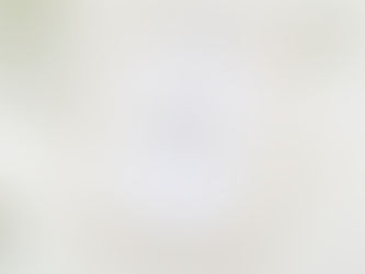 FREE Printable Baby Shower Planner