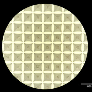 Engineered Stem Cell Models