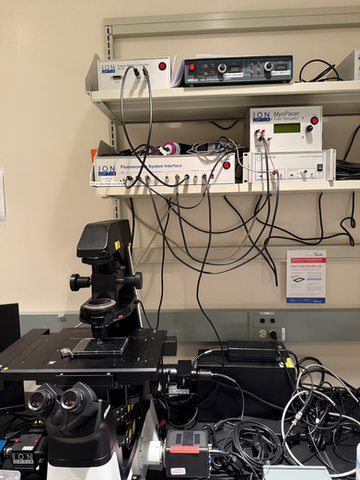 Filters added for Real Time Kinase Activity Assay