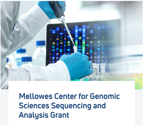 Lin Lab is awarded the NGS Pilot Grant!