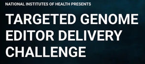The Lin Lab is a winner of the NIH TARGETED Challenge!