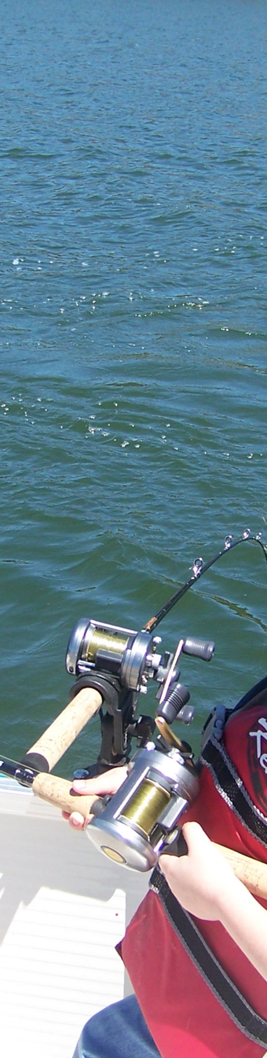 big bear fishing pole and Little Bear Go Fishing: Hest, Amy, Stead, Erin E.: 9780823449750 Books Big Bear Casting Rod