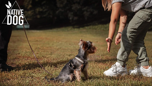 Skärmavbild 2024-03-05 kl. 19.01.18.png