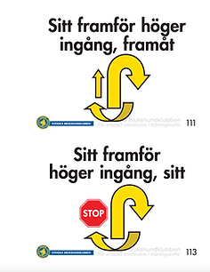 Skärmavbild 2021-03-23 kl. 20.58.13.png
