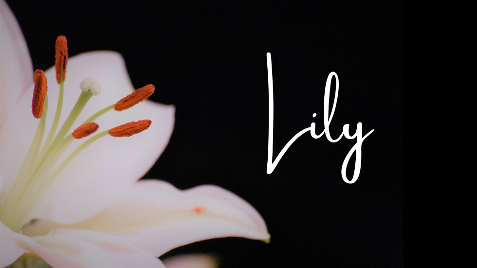 a close-up a of a lily flower with the handwritten name Lily beside it