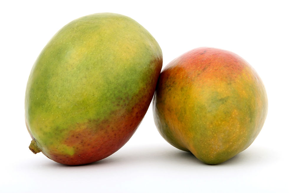 Kent mango from the Ivory Coast