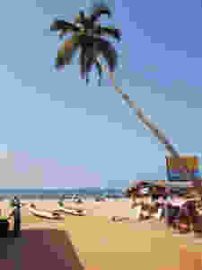 Beachlife Goa