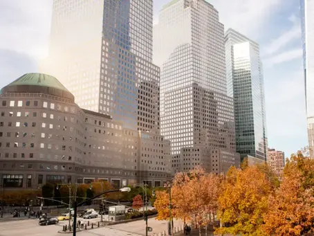 Toronto International Film Festival (TIFF)