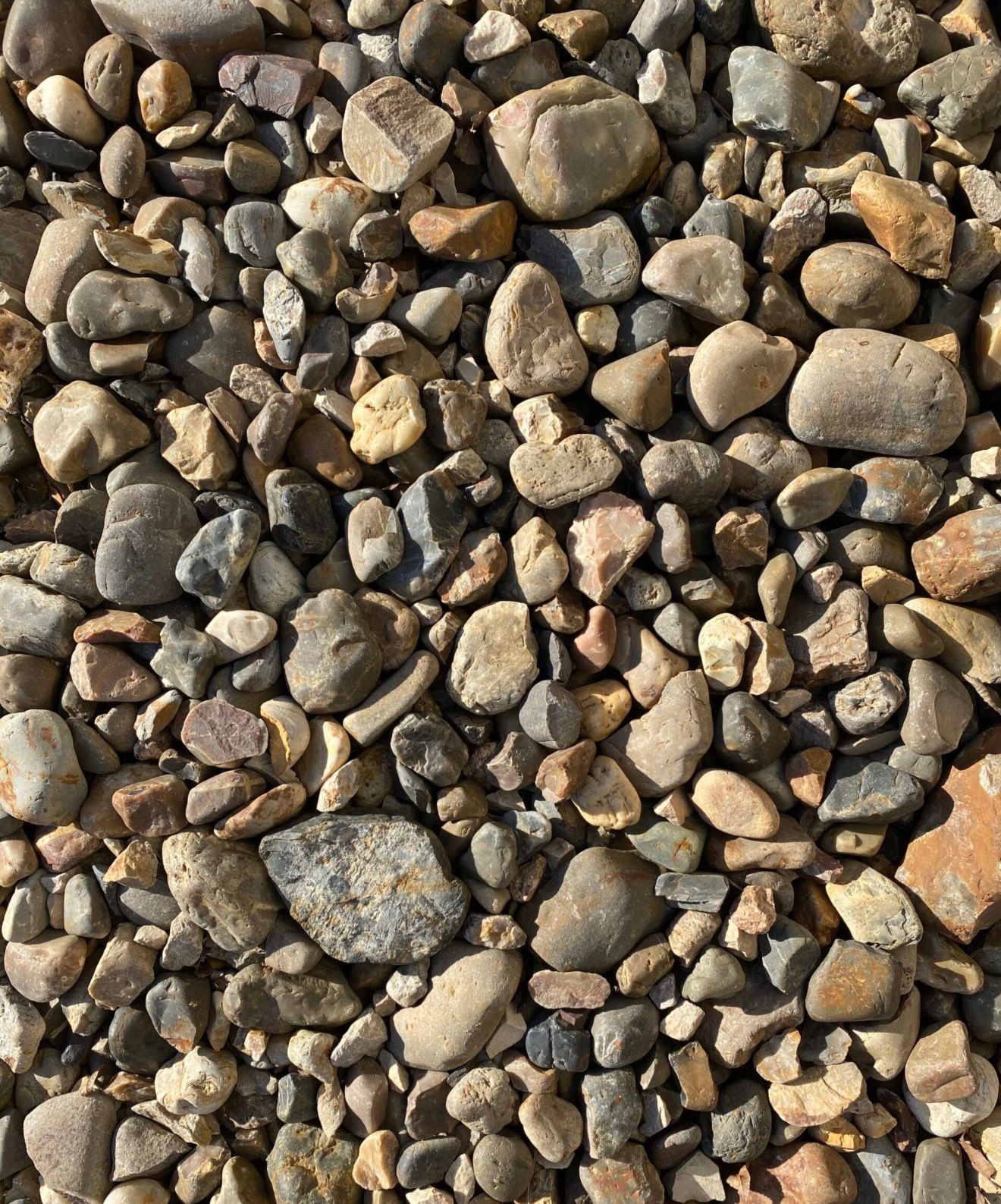 RIVER ROCK — PER SKID LOADER BUCKET