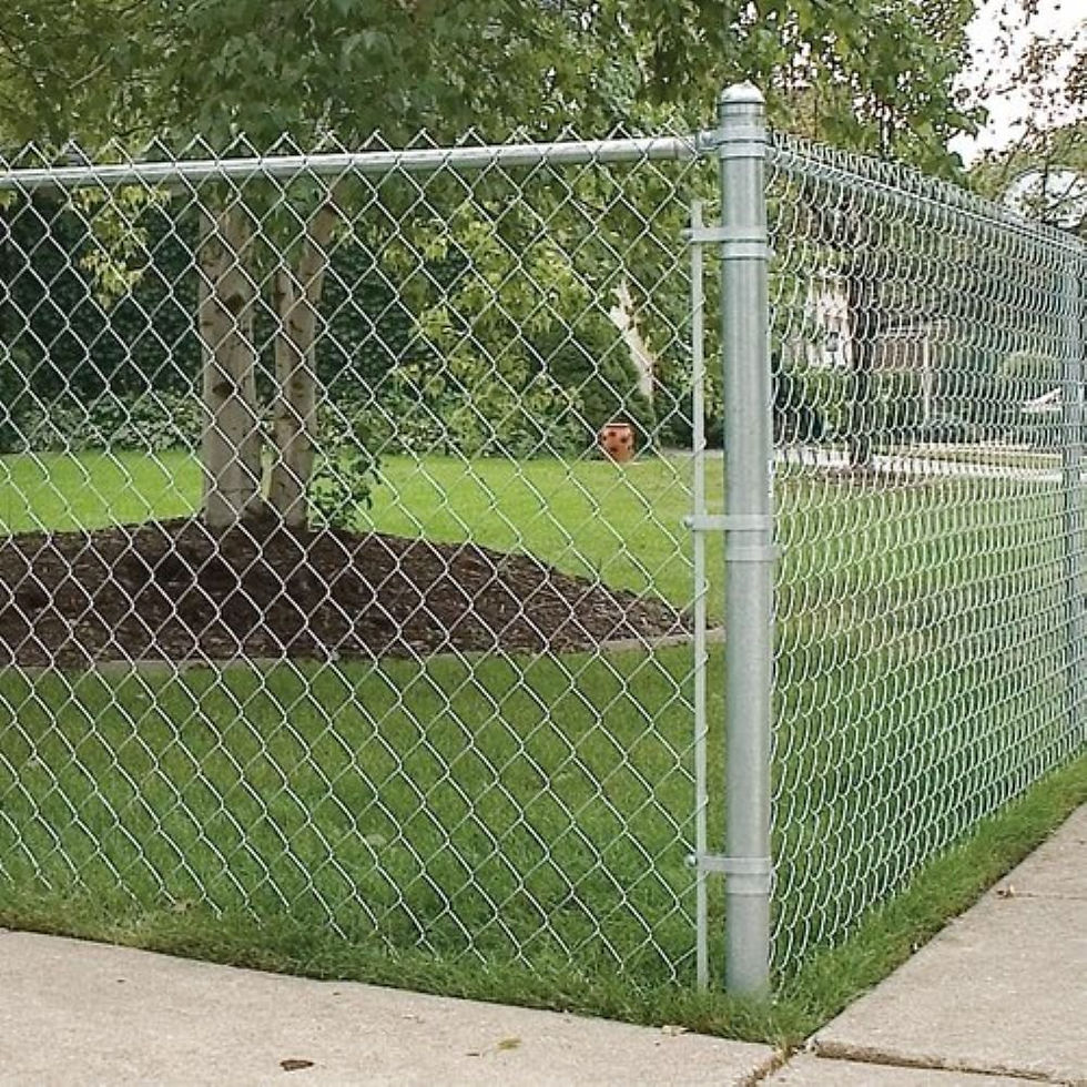 Residential chain link fence bordering suburban backyard