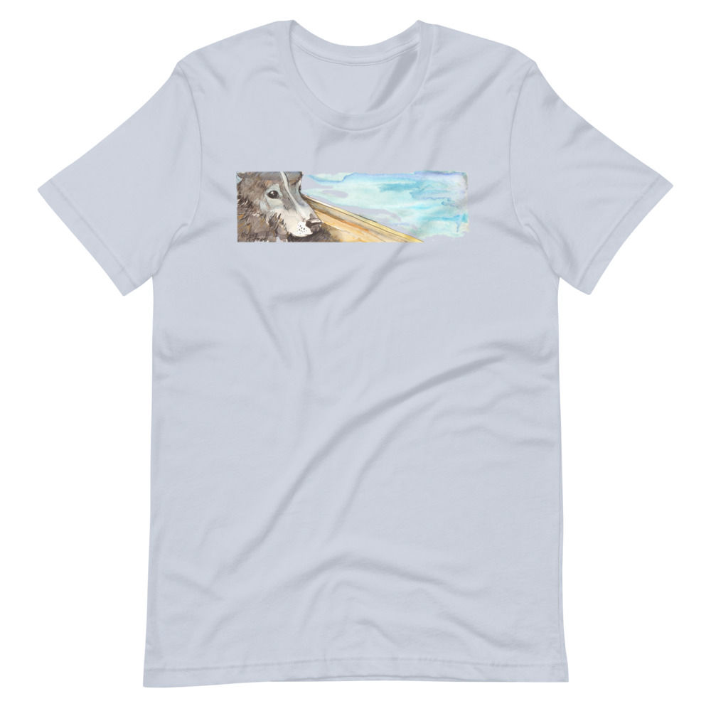 Window Peaker T-Shirt