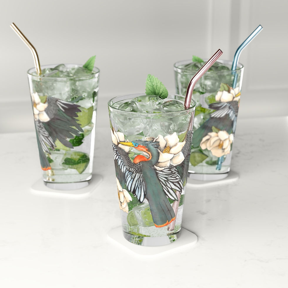 Resting Anhinga Pint Glass, 16oz