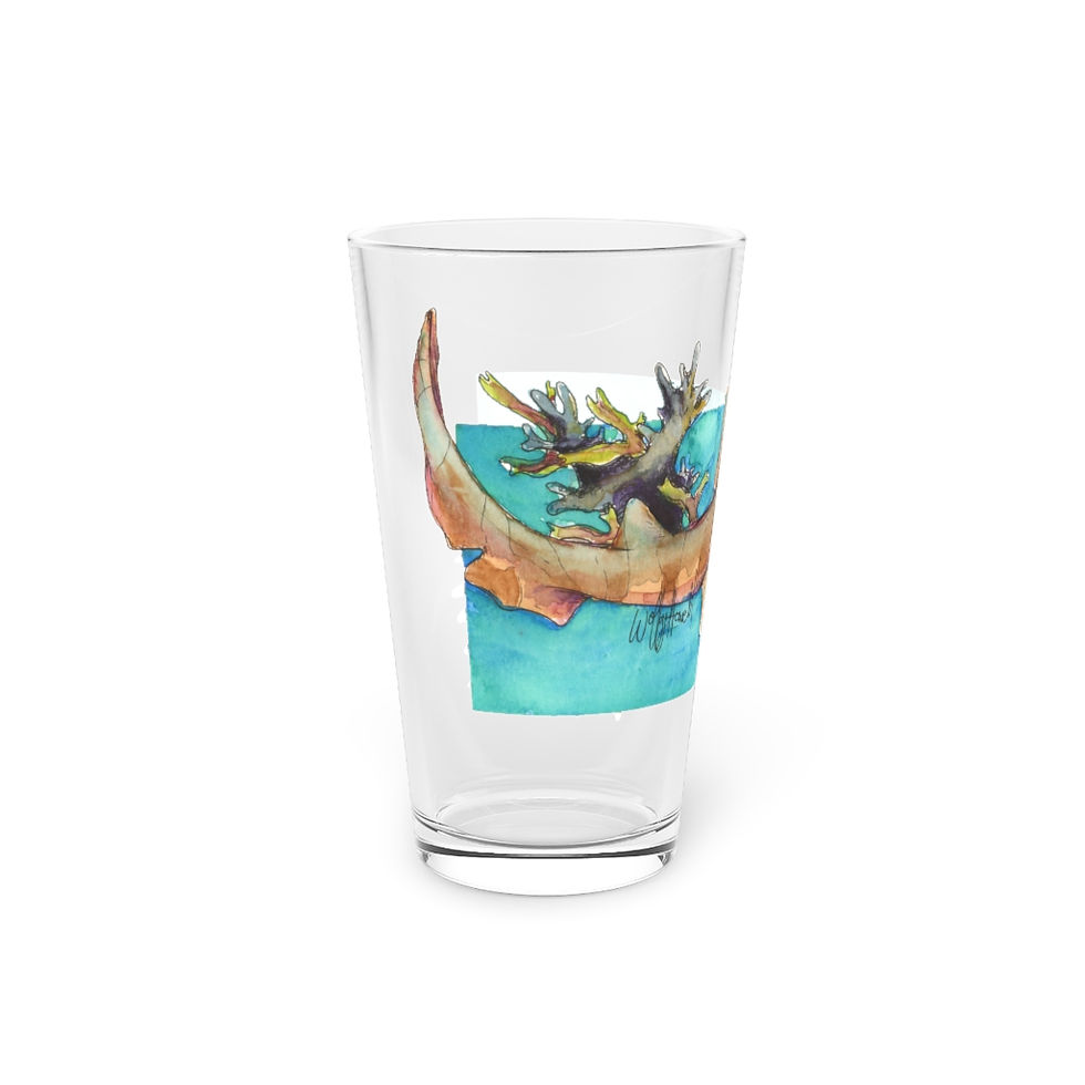 Thumbnail: Bamboo Shark Pint Glass