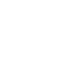 government (2).png