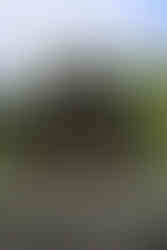 Eine liebe Überraschung zum Geburtstag