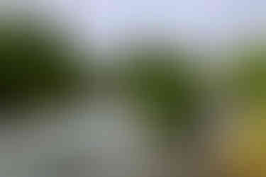 Das KunstwerkSymbiose. Sehe nur ich den Menschen in der Skulptur?