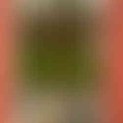 Spazieren beim Schafstall