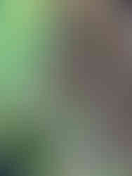 Nur die Ruhe kann es bringen