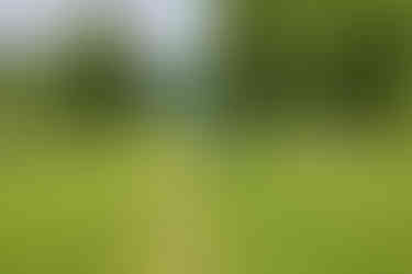 Das Kletterzentrum und -Museum