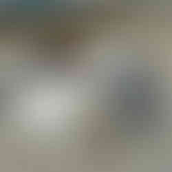 Gemeinsam geruht ist die schönste Ruhe