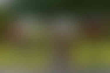 Das KunstwerkSymbiose. Sehe nur ich den Menschen in der Skulptur?