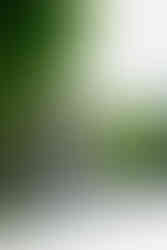 Heilige Sunniva von Selje