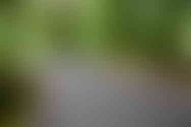 Besinnlichkeit und innere Ruhe überkommt einem