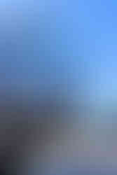 Besuch eine Kreuzfahrtschiffes