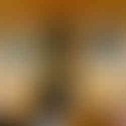 Innenansicht der Wälderschenke