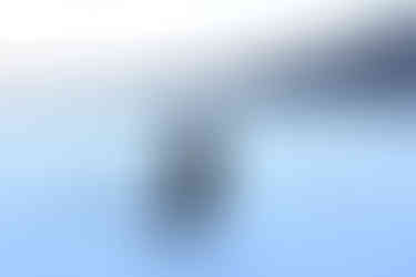 Annemarie und Merlin vor grosser Kulisse