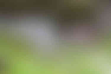 Der Jøssingfjord aus dem Museum gesehen