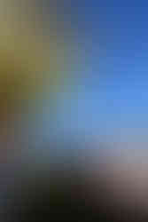 Letzte Besprechung des Piloten mit der Bodencrew