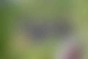 Die Kirche von Førde