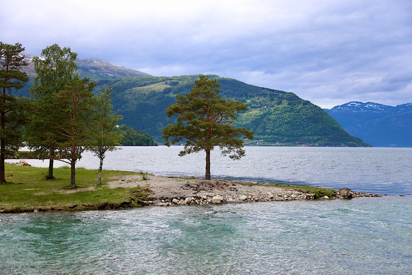 Die sehen doch freundlich und zufrieden aus
